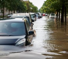 COP29: resultados e implicações para o Brasil e o setor privado