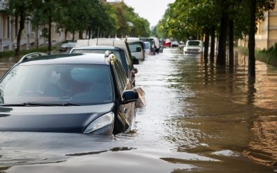 COP29: resultados e implicações para o Brasil e o setor privado